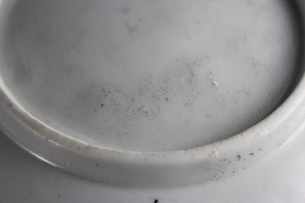 Baddeley Littler saucer