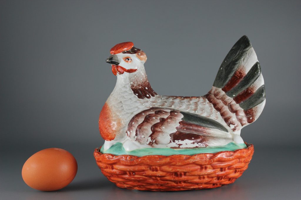 Staffordshire hen on nest