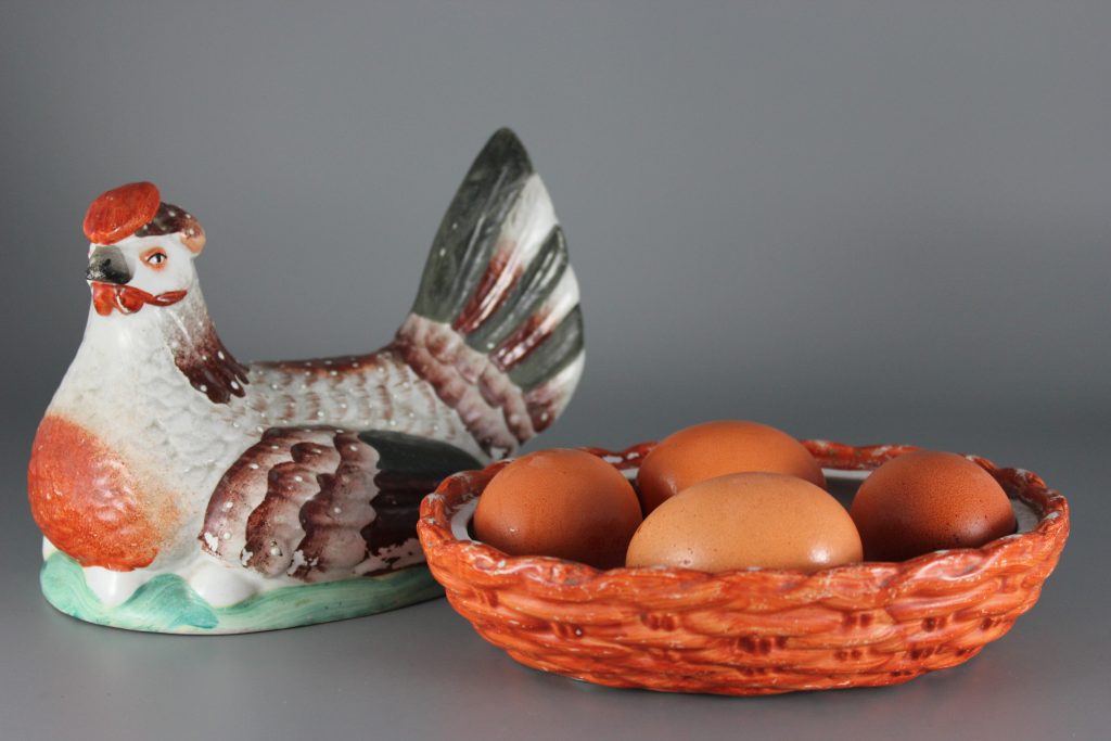 Staffordshire hen on nest
