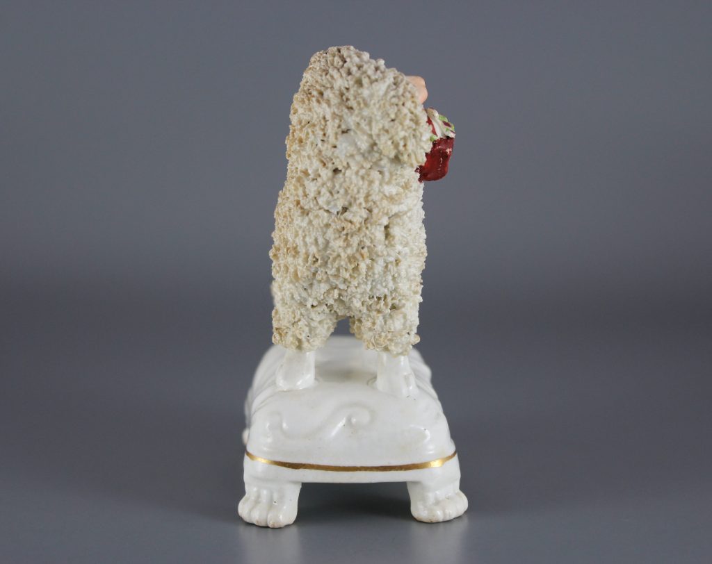 Victorian Staffordshire poodle